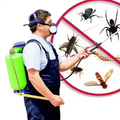 pest control Nicollet